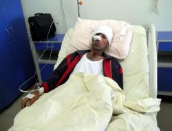 Bir ayı saldırısı haberi de Kars'tan